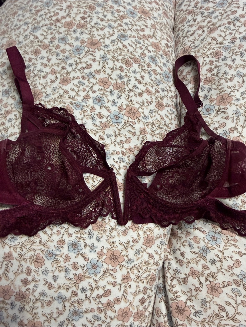 Thistle and Spire Burgundy Lace Underwire Bra